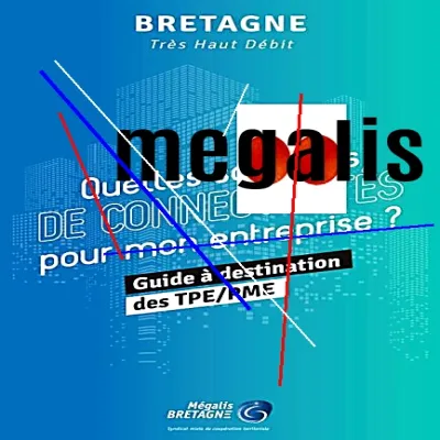 Megalis